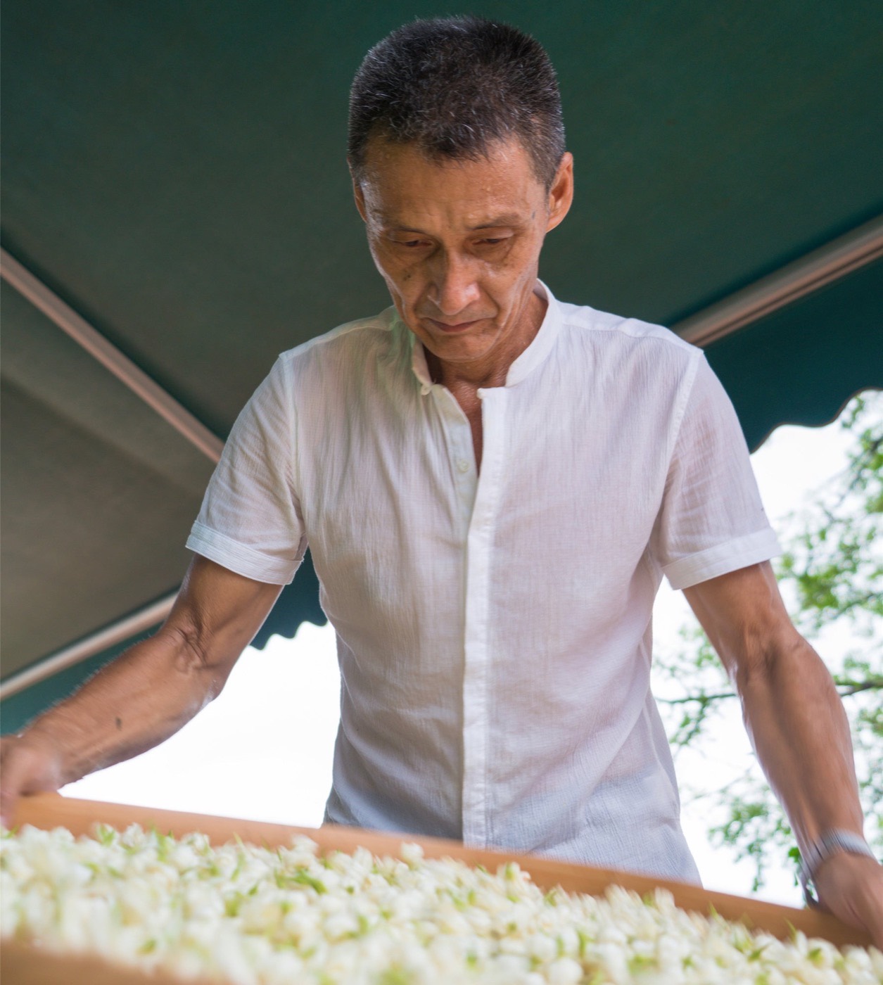 Craftfolio tea master preparing flowers